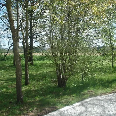 Le Bois Senary *